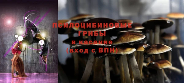 тгк Нязепетровск