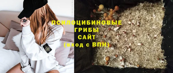 бошки Новодвинск
