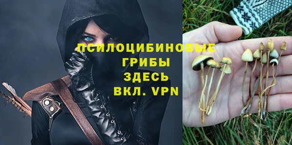 бошки Новодвинск