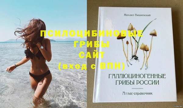 дурь Новозыбков