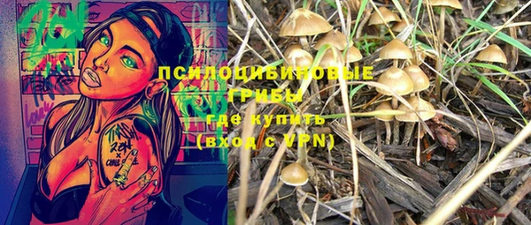 бошки Новодвинск
