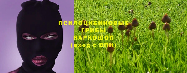 хмурый Новокубанск