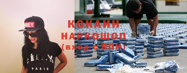 дмт Няндома